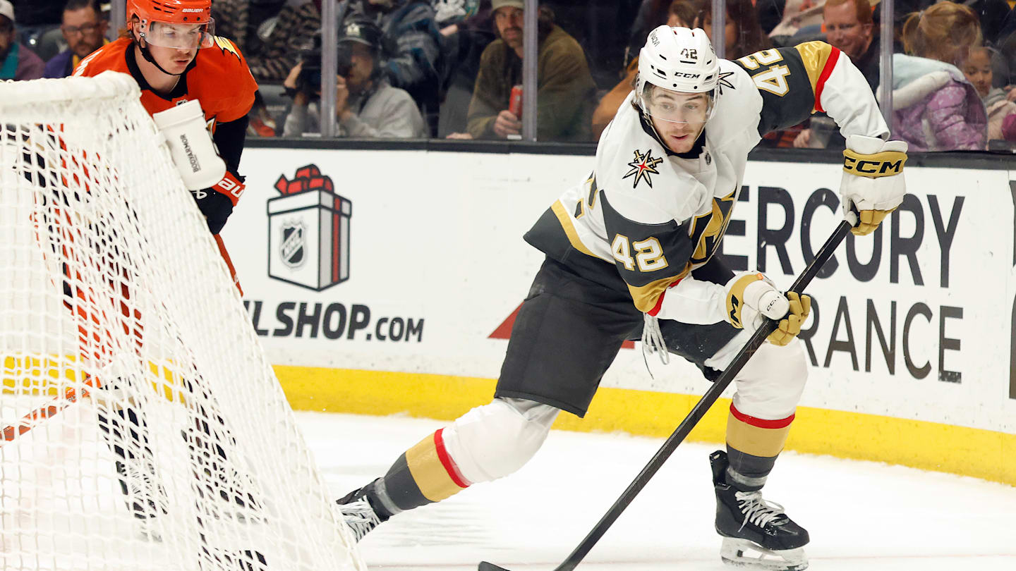 Vegas Golden Knights v Anaheim Ducks