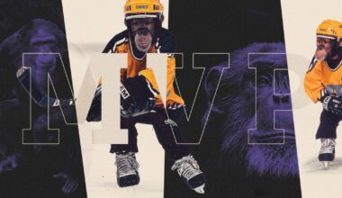 These chimpanzees starred in a hockey movie. Their lives are much different now