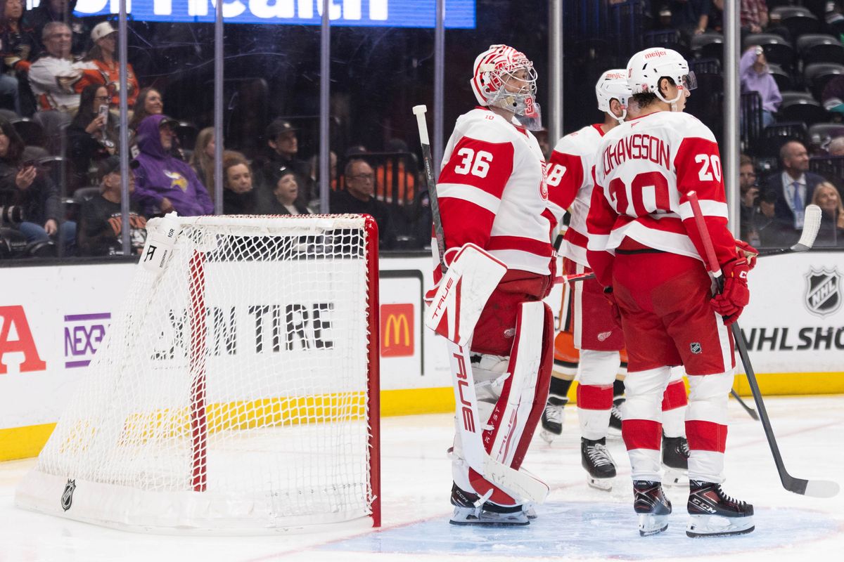 Detroit Red Wings players stand by after the goal was moved out of place during an NHL game against the Anaheim Ducks on Friday October 31, 2025 in Anaheim, California.