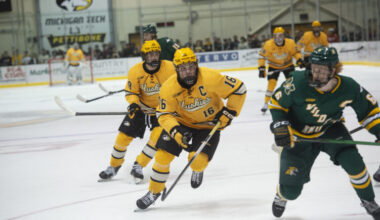 Huskies hockey earns sweep of Wildcats | News, Sports, Jobs