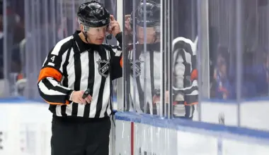 NHL officials under fire for call in Red Wings vs. Ducks game Friday