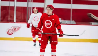 A great acquisition by Steve Yzerman