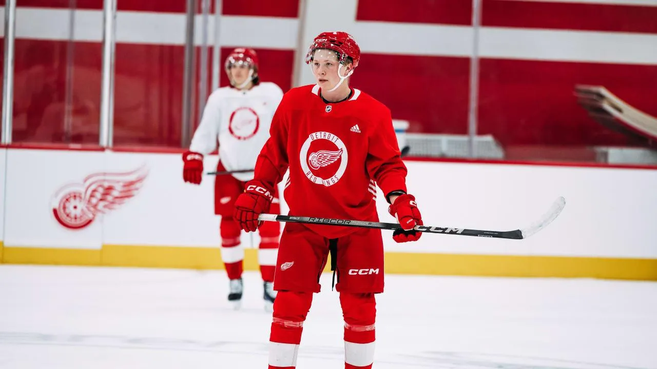 A great acquisition by Steve Yzerman