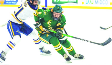 Wildcats hockey opens league play with 2-1, 3-1 road losses | News, Sports, Jobs