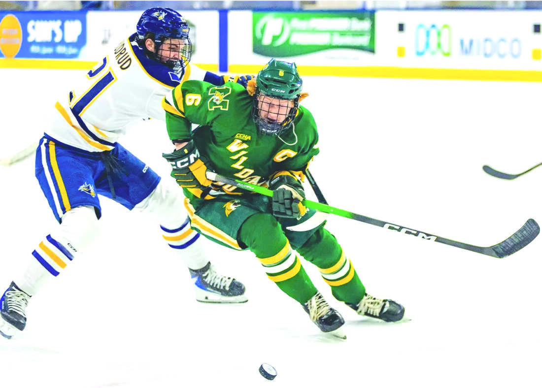 Wildcats hockey opens league play with 2-1, 3-1 road losses | News, Sports, Jobs