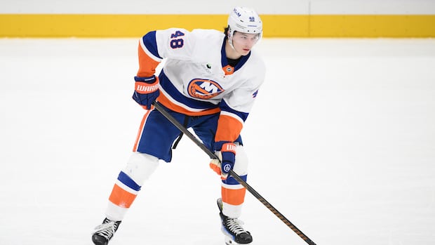 Hamilton's Matthew Schaefer named NHL rookie of the month after strong start with Islanders