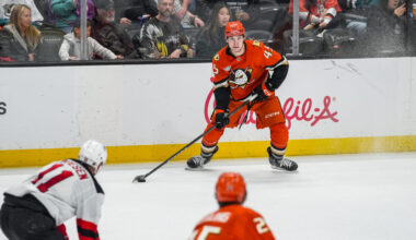 Ducks Take a 4-1 Victory Over Visiting Devils
