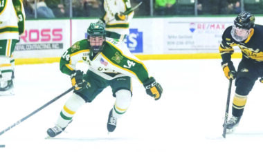 Wildcats hope renewal of U.P. hockey rivalry can spur 1st win | News, Sports, Jobs