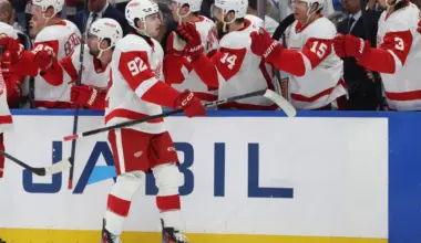 Red Wings fans left confused as nickname of young forward gets revealed