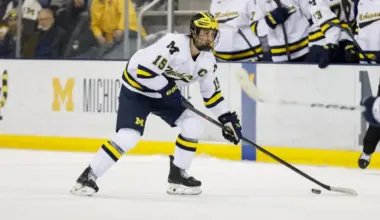 Red Wings organization defenseman reaches all-time low with ECHL assignment