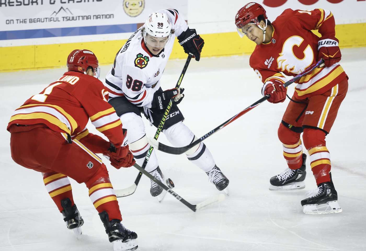 Connor Bedard lifts Blackhawks past Flames with four-point night | NanaimoNewsNOW