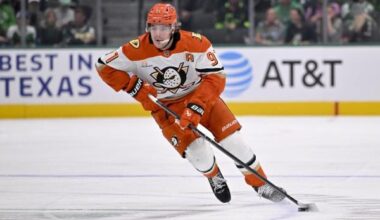 Young Ducks flying high, strive to ground Jets