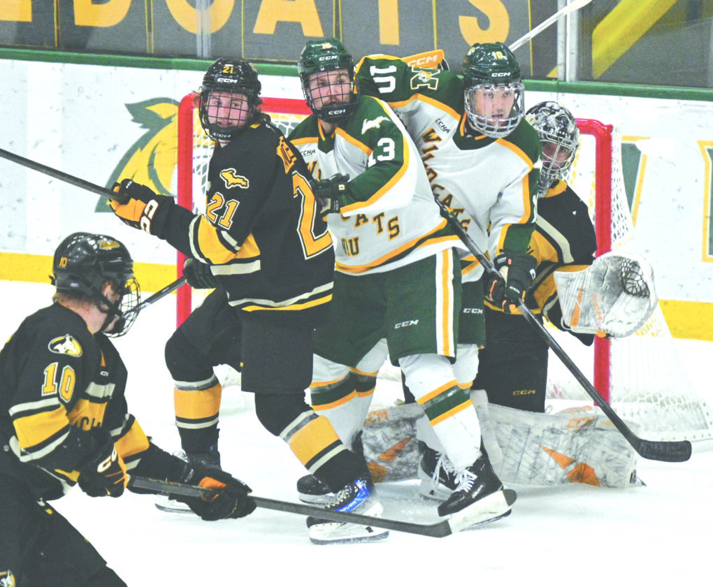 Time for Wildcats’ hockey to lick their wounds | News, Sports, Jobs