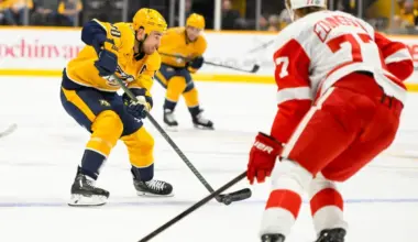 Red Wings land ideal center from the Predators in proposed trade pitch