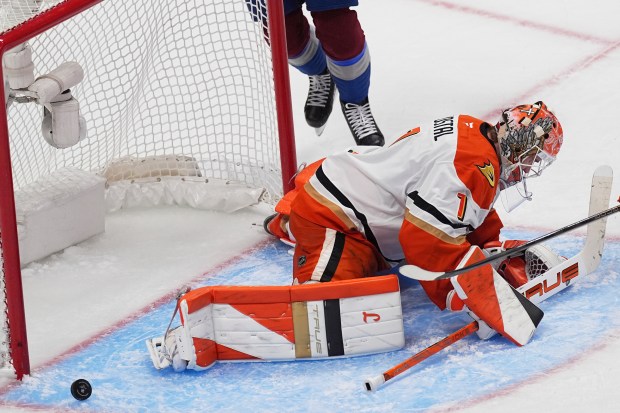 Ducks goaltender Lukas Dostal reacts after giving up a goal...