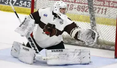 Red Wings organization announces aquisition of a goaltender amidst injury woes