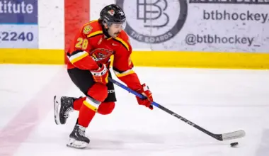 Vancouver Canucks Organization Officially Announces Signing of 25-Year-Old Forward