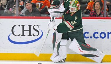 Wild's Jesper Wallstedt keeps high-scoring Ducks out of the net