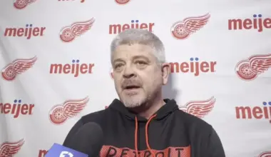Red Wings defenseman's decisions 'make no sense' to head coach Todd McLellan