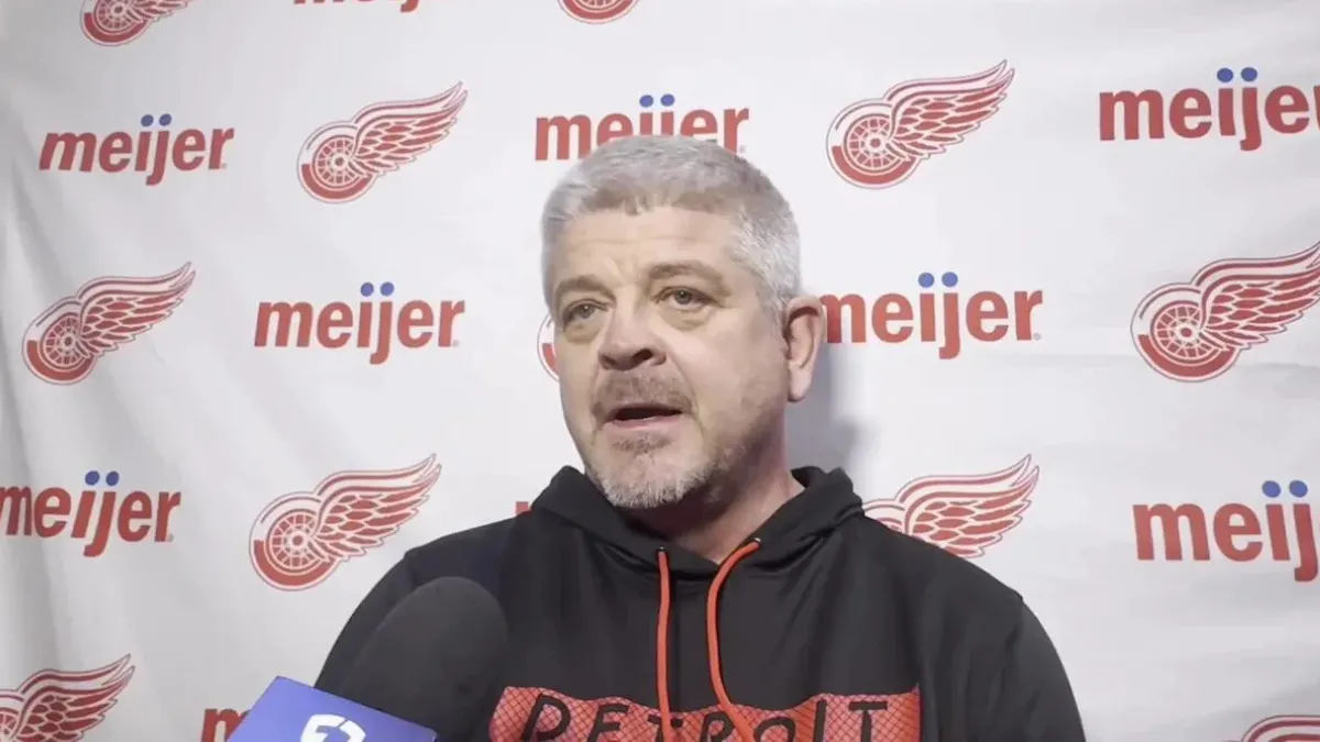 Red Wings defenseman's decisions 'make no sense' to head coach Todd McLellan