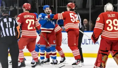 NHL Department of Player Safety makes official decision on Red Wings and Rangers after bench clearin