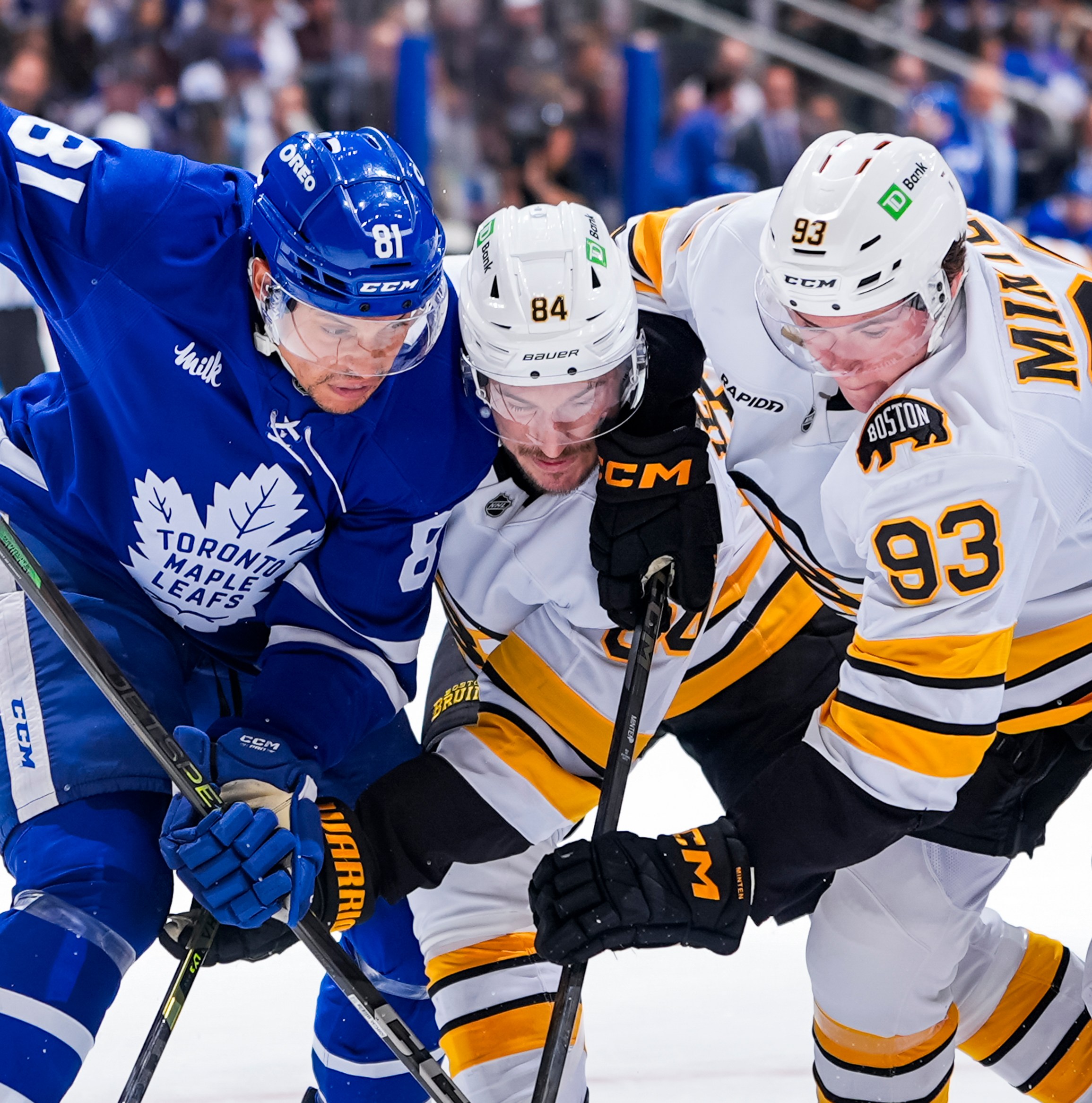 Public Skate: Bruins vs. Maple Leafs