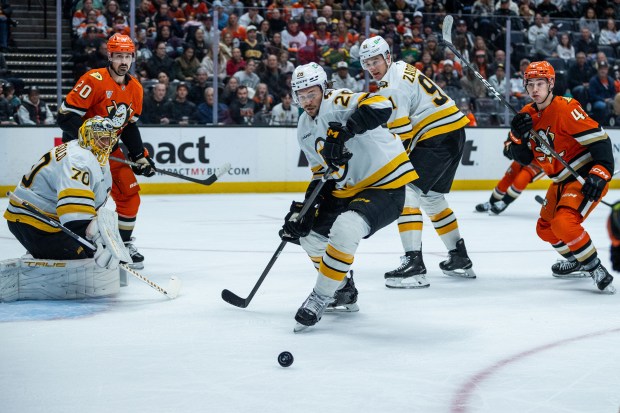 Boston Bruins defenseman Andrew Peeke (26) controls the puck during...