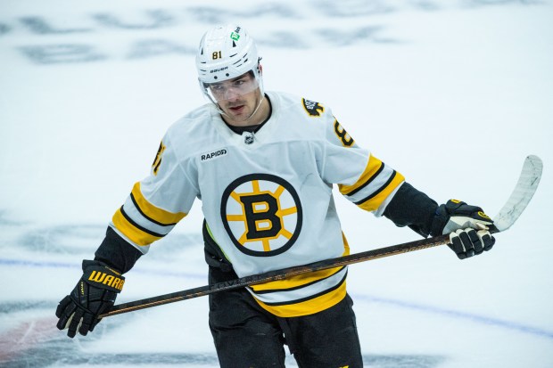 Boston Bruins center Michael Eyssimont reacts after scoring during the...