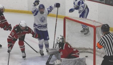 Girls Hockey: BLF scores a shutout against DL - Brainerd Dispatch