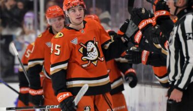 Ducks have a pair of lottery picks going opposite directions – Daily Breeze