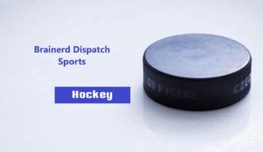 Area Boys Hockey: Flyers fall to Luverne in OT - Brainerd Dispatch