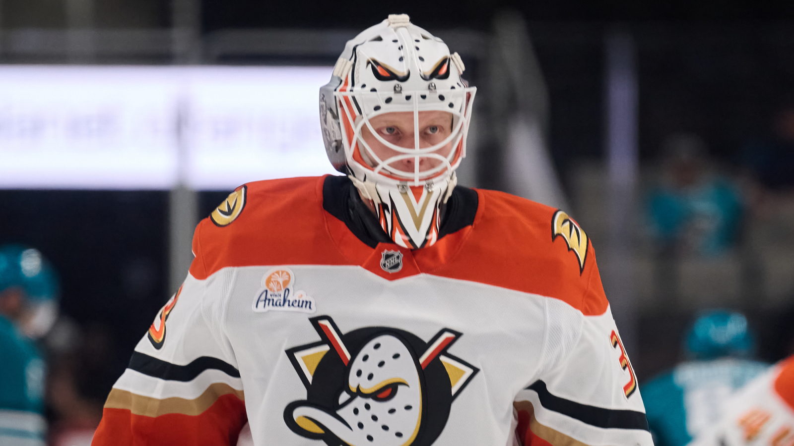 Ducks recall Ville Husso | Yardbarker