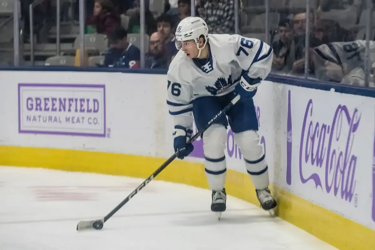 Two young defensemen may have just ruined their chances of a call-up with the Maple Leafs