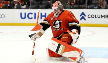 Ducks goalie Lukas Dostal out 2-3 weeks with upper-body injury
