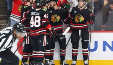 Hawks fall to NHL-worst Predators on Black Friday