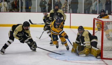 Prep hockey roundup: Spartans put up eight; Moorhead blitzes Roseau - InForum