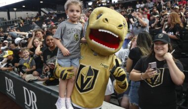 Knight Flights launches as an innovative, first-class way to travel to select VGK road games -
Las Vegas Sun News