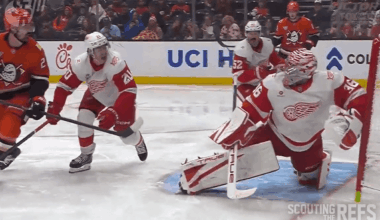 Ducks’ Kreider Awarded Goal After Wings’ Gibson Dislodges Net