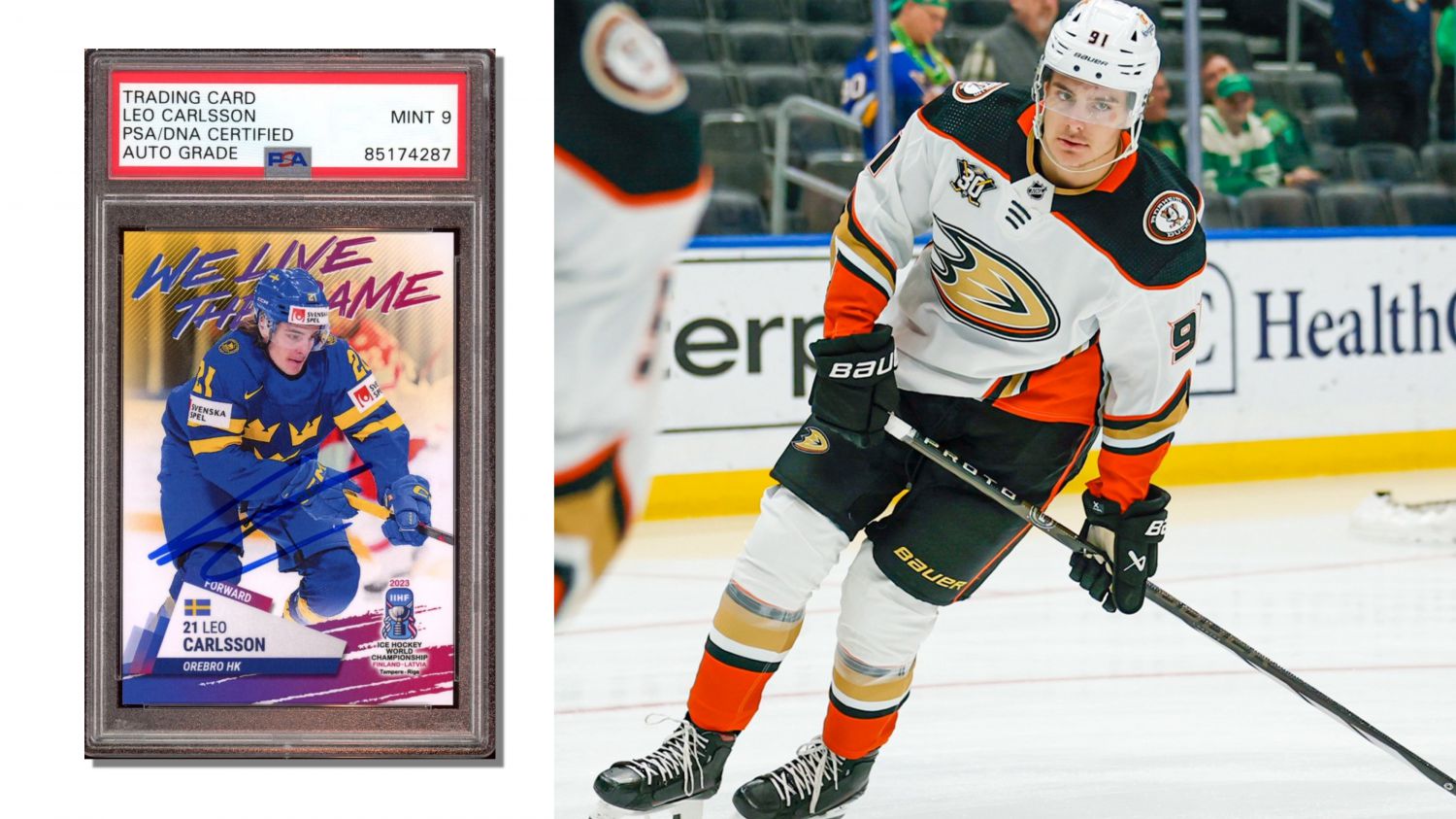 Anaheim Ducks’ Driving Force Leo Carlsson Has Rookie Card Values Surge