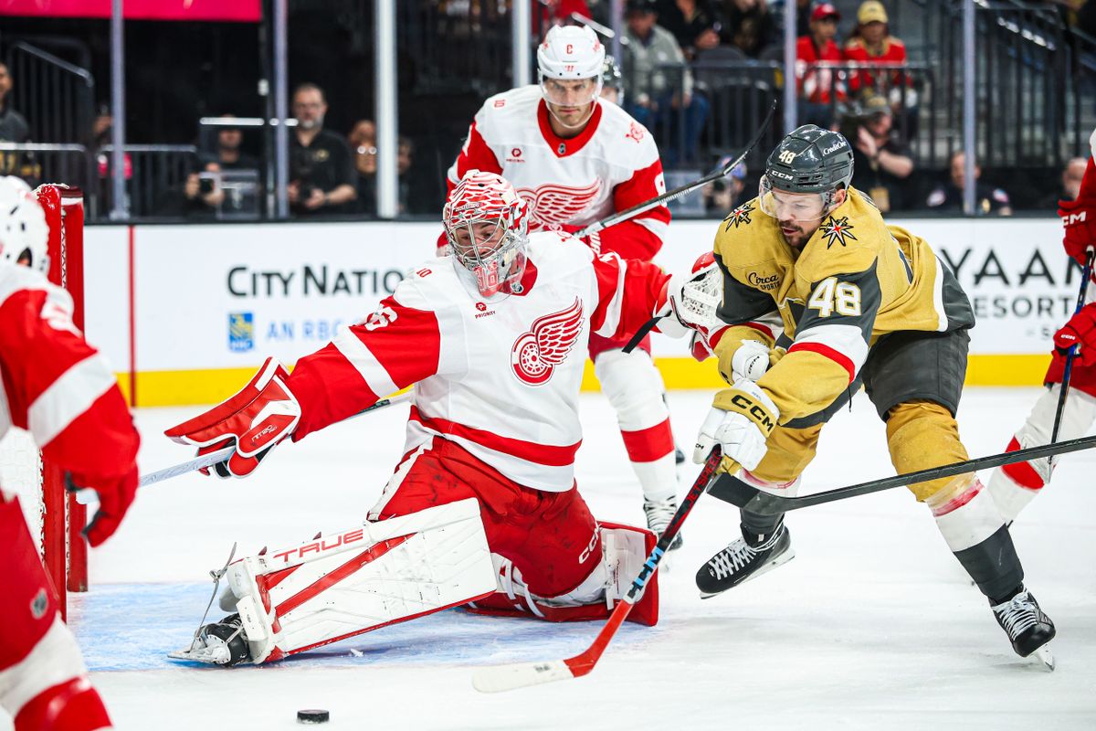 Detroit Red Wings G John Gibson (36) makes a save against Vegas Golden Knights F Tomas Hertl (48) during an NHL game on Tuesday November 4, 2025, in Las Vegas, Nevada. 