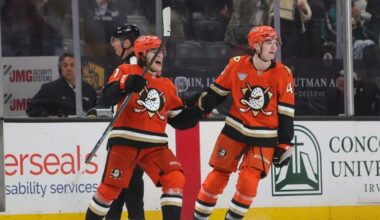 Terry ties in final seconds, Zellweger scores in OT, as Ducks snap losing streak