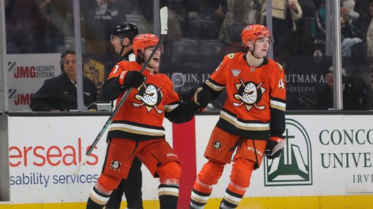 Terry ties in final seconds, Zellweger scores in OT, as Ducks snap losing streak