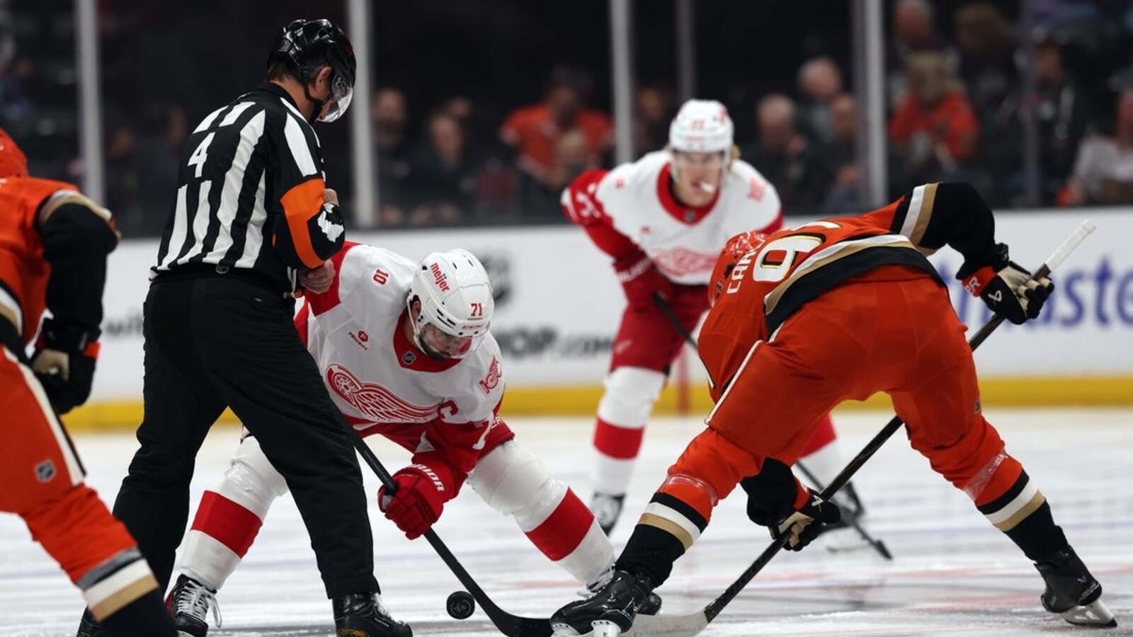 Red Wings work on changes as Ducks chase new streak