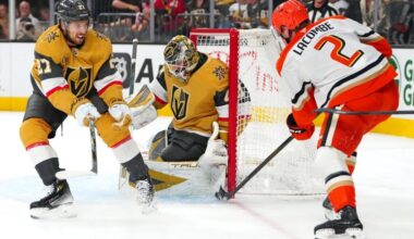 ducks golden knights