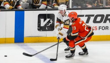 Ducks AND Golden Knights