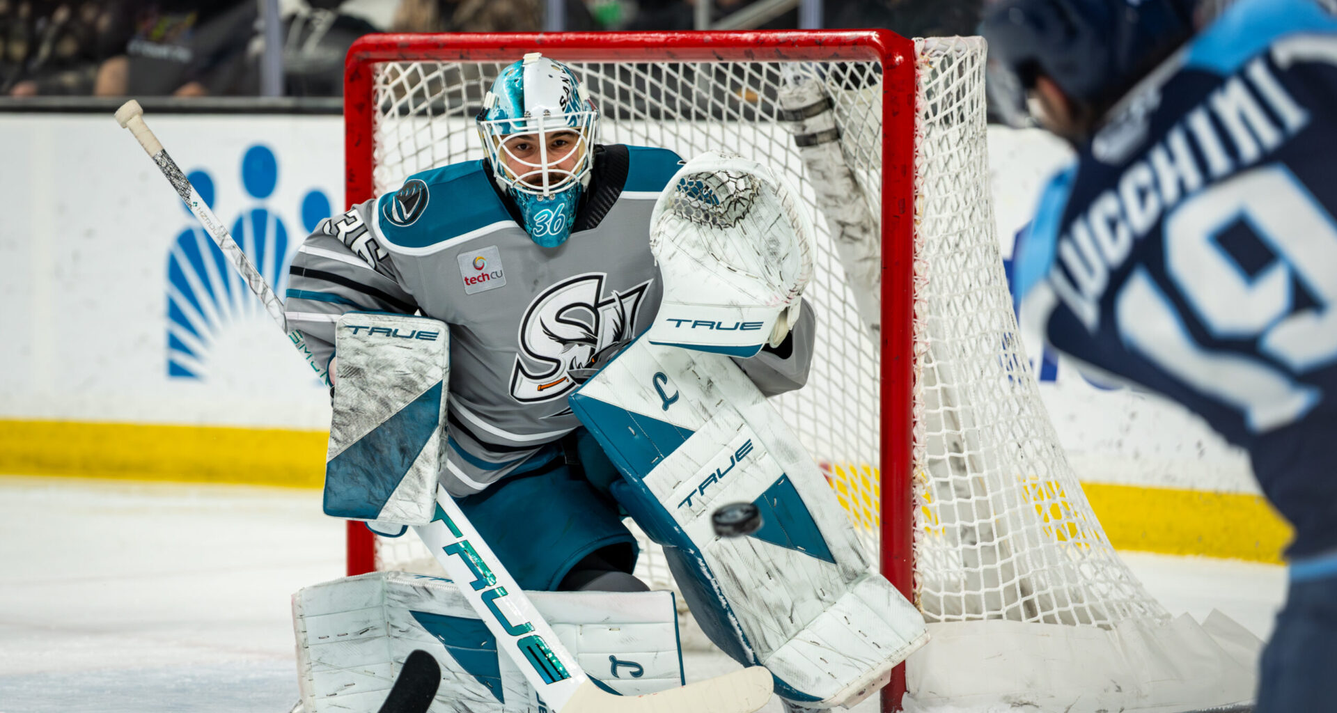 San Jose Sharks goalie Jakub Skarek