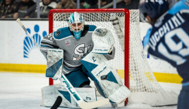 San Jose Sharks goalie Jakub Skarek