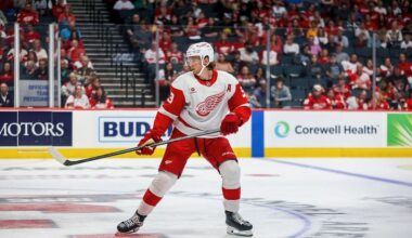 Moritz Seider, red wings