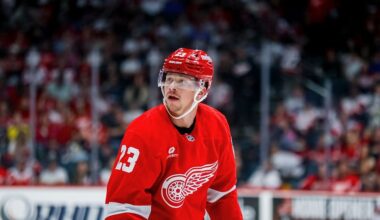 Lucas Raymond, red wings