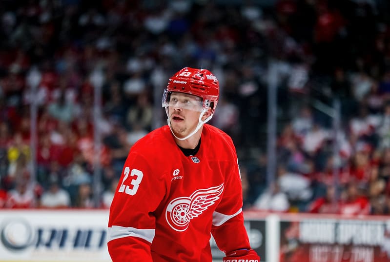 Lucas Raymond, red wings